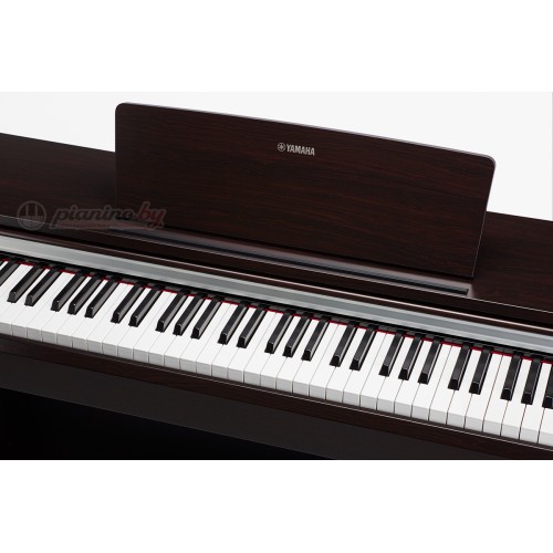 Цифровое пианино Yamaha Arius YDP-142R