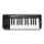 Midi-клавиатура Alesis Q25-2